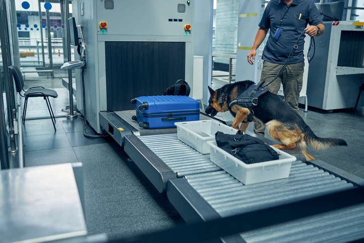 how to get a drug trafficking charge dismissed